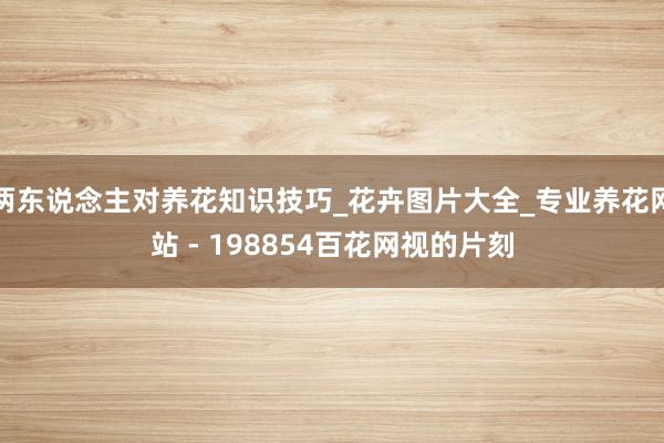 两东说念主对养花知识技巧_花卉图片大全_专业养花网站 - 198854百花网视的片刻