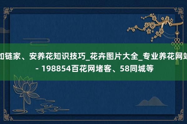 如链家、安养花知识技巧_花卉图片大全_专业养花网站 - 198854百花网堵客、58同城等