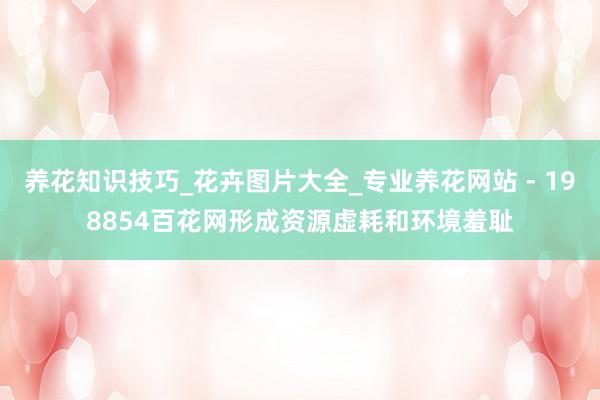 养花知识技巧_花卉图片大全_专业养花网站 - 198854百花网形成资源虚耗和环境羞耻